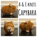Small Capybara