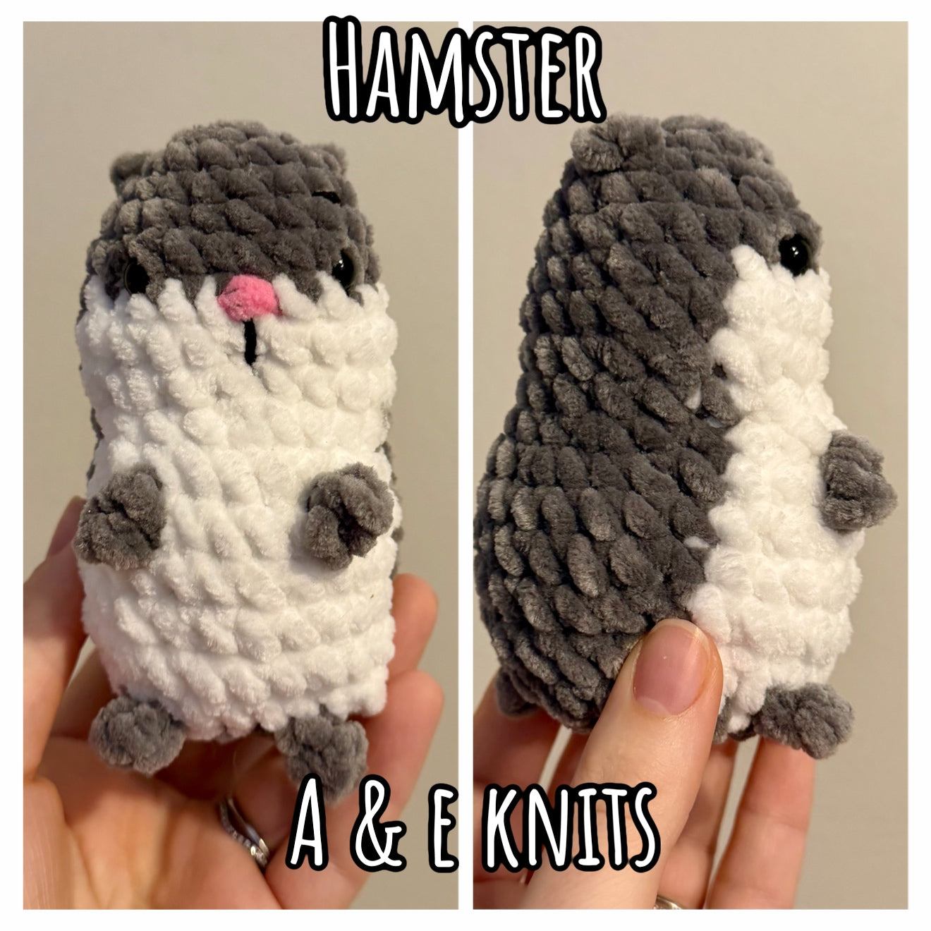 Hamster 🐹