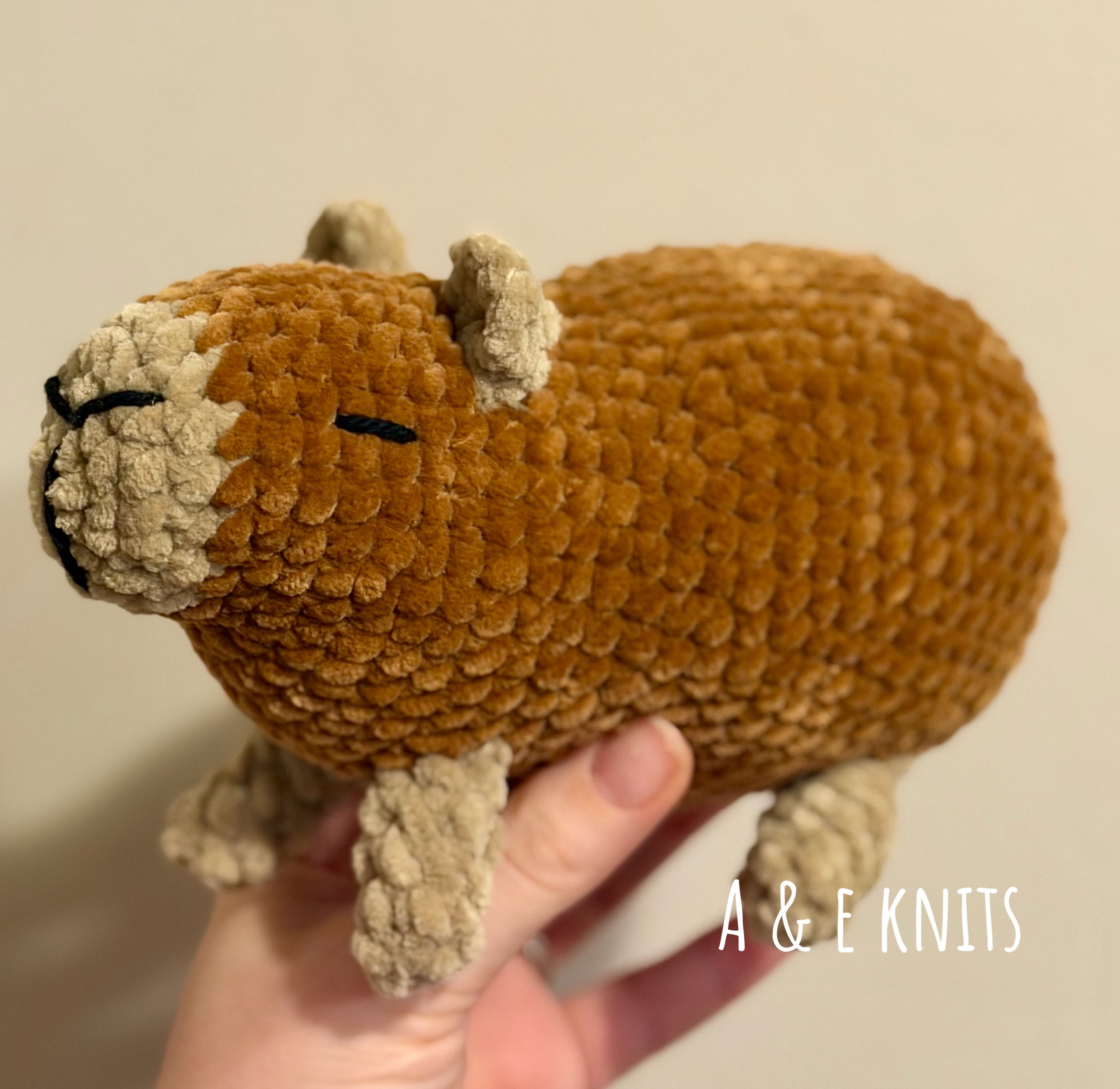 Large Capybara